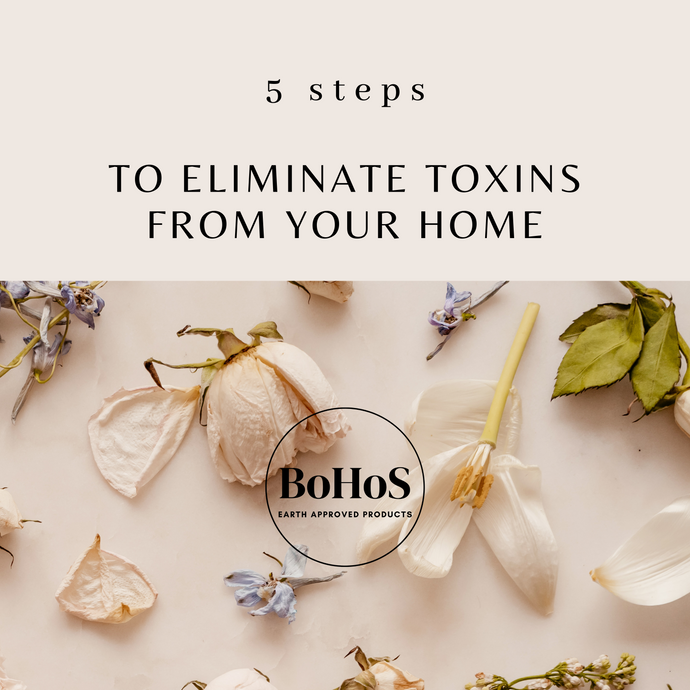 5 Steps to Eliminate Toxins From Your Home