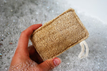 Load image into Gallery viewer, Loofah Sponge - Natural, Compostable, Plastic-free
